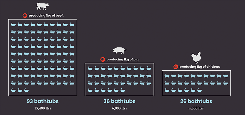 costs of consumption visualisierung 4